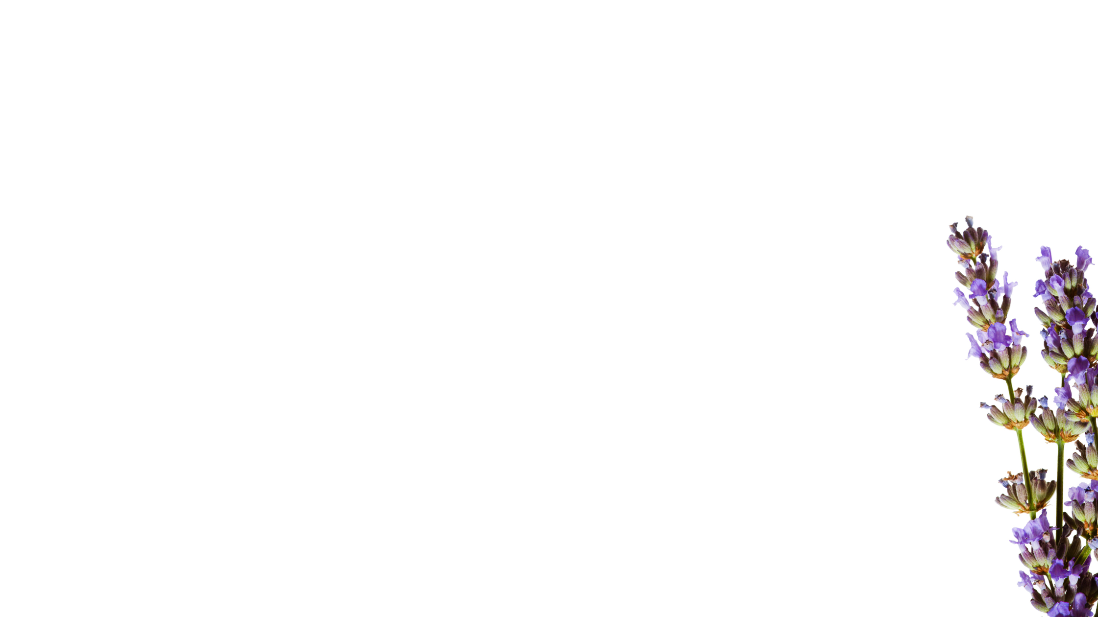 Nestled in the vibrant heart of Gosford, Across from the Iconic Archibald twin tower complex, Sophic Wellness envisions becoming a sanctuary of holistic health and rejuvenation. Our dream is to create a community hub where individuals from all walks of life can find balance, peace, and healing.
As we bring this vision to life, we are excited to announce our staggered stages of launch between June 16th and mid-December 2024. Each phase will introduce new services and practitioners, gradually expanding our offerings and enhancing the wellness experience.
sophic wellness.
gnostic healing
gnostic wellness woy woy
#SophicWellness #SophicHerbsAndTeas #SophicWellnessGosford #GosfordNSW #AuthenticityMatters #FamilyOwnedBusiness #SupportSmallBusinessOwners #Gosford #CentralCoastNSW #LightTherapy #IntuitiveGuide #LifeCoach #Naturopath #Herbalist #Iridologist #Aromatherapist #Breathwork #RemedialMassage #SportsMassage #DeepTissueMassage
#gnostichealingwoywoy
#DeborahGermiain
#NLP
#Swedishmassage